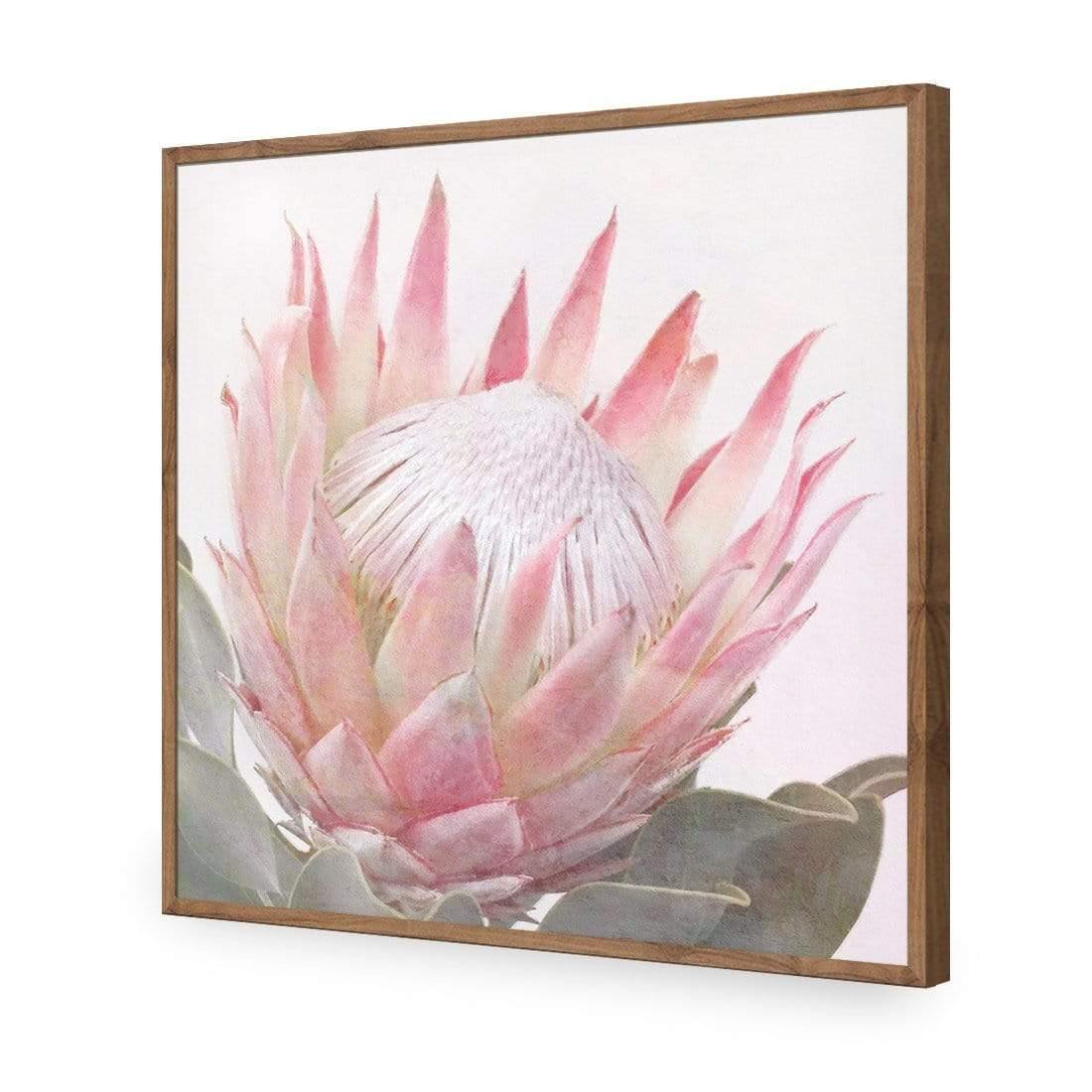 Dreamy Protea (Square)