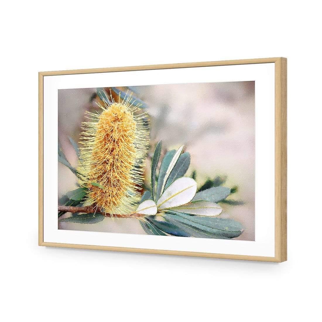 Banksia of Gold