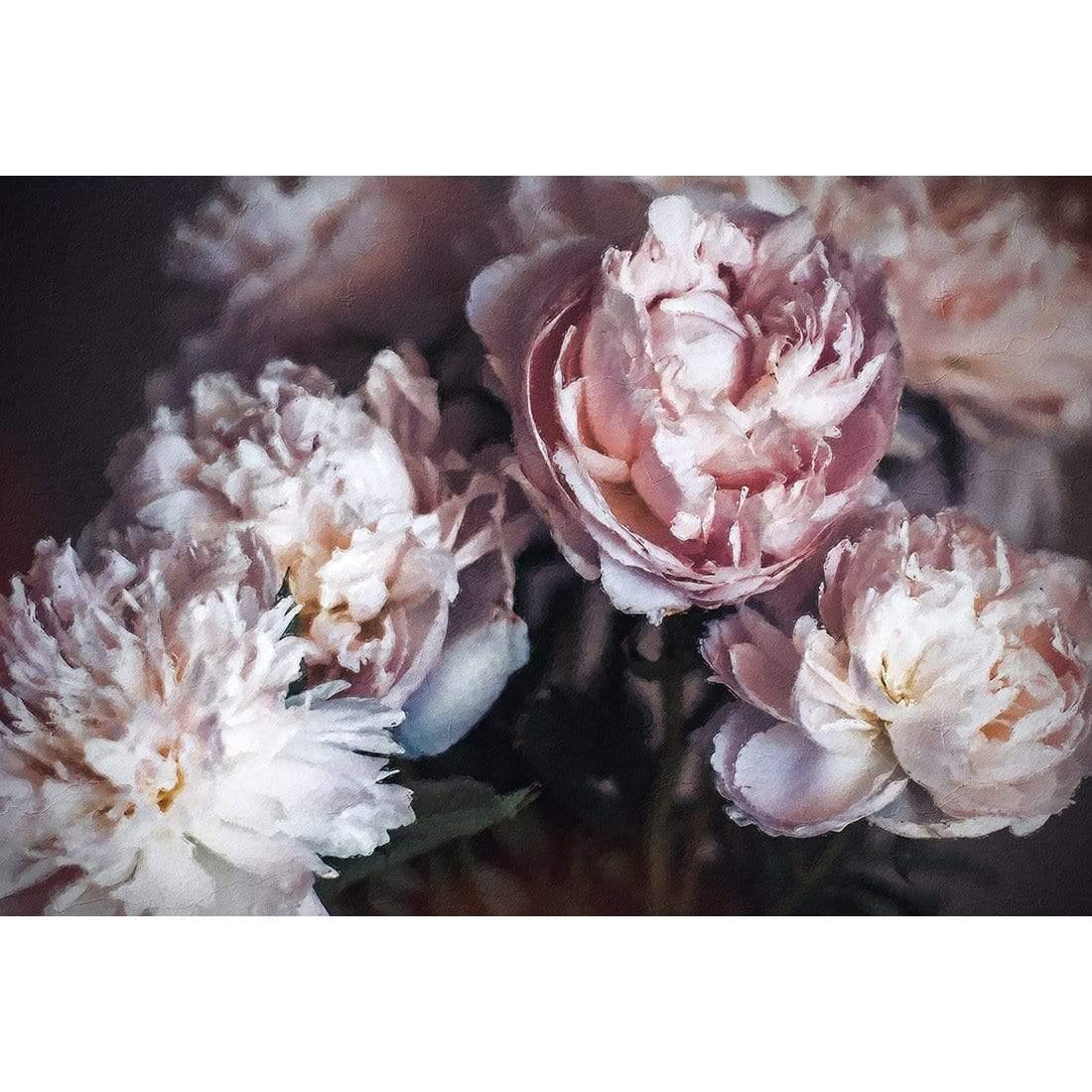 Moody Peonies