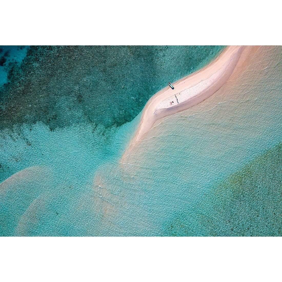 Sand Bask Basking