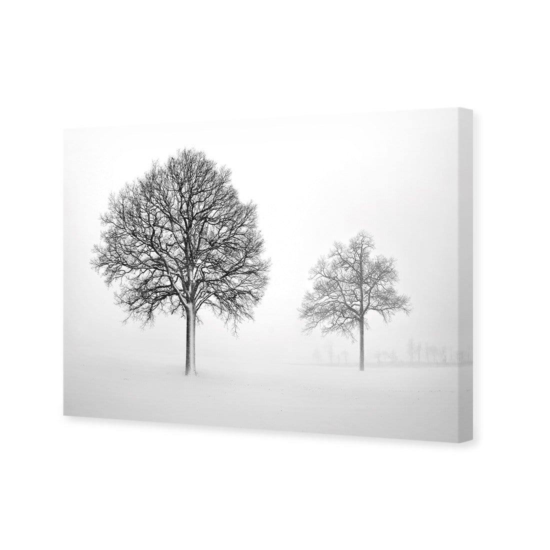 Trees in Winter Snow By Ben Heine