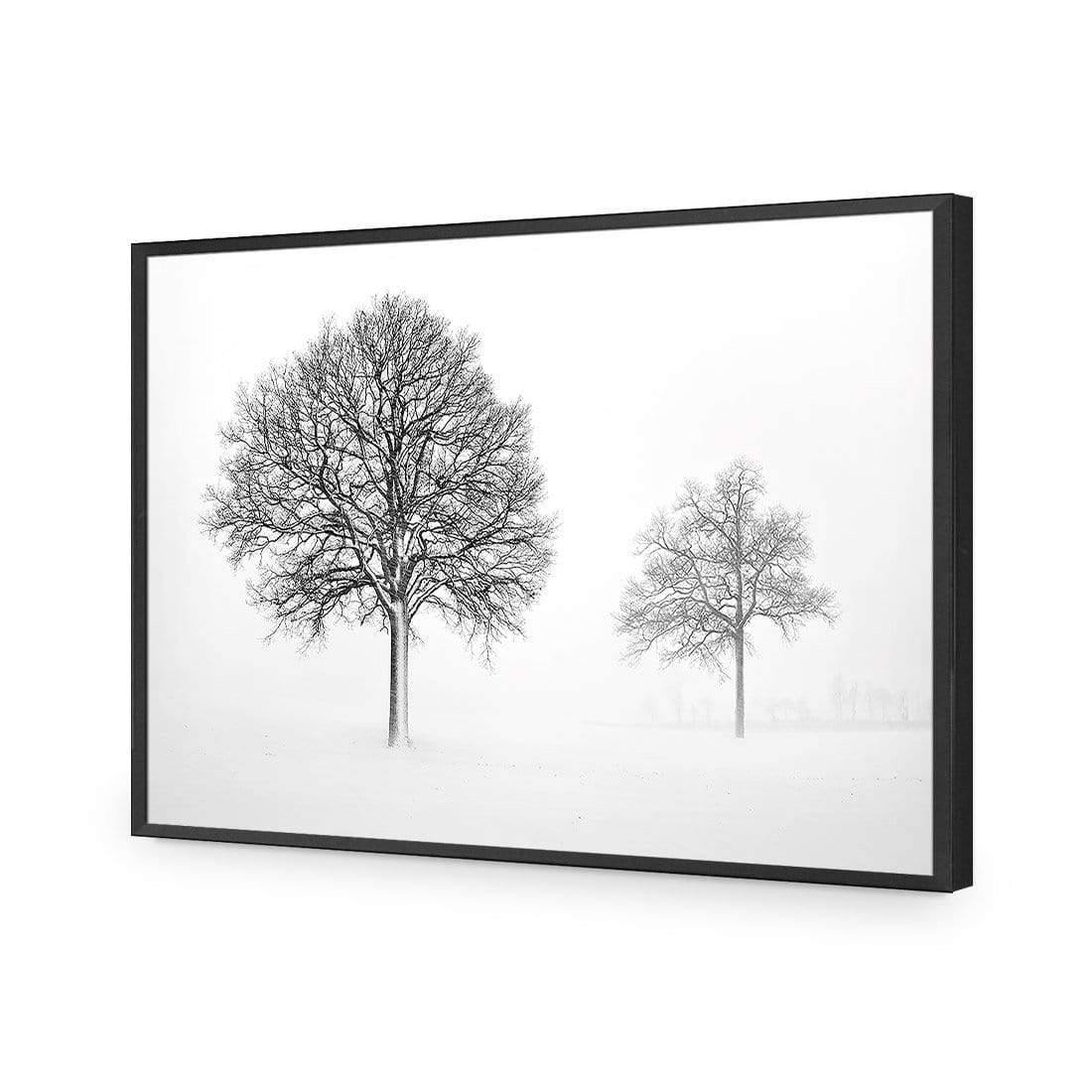 Trees in Winter Snow By Ben Heine