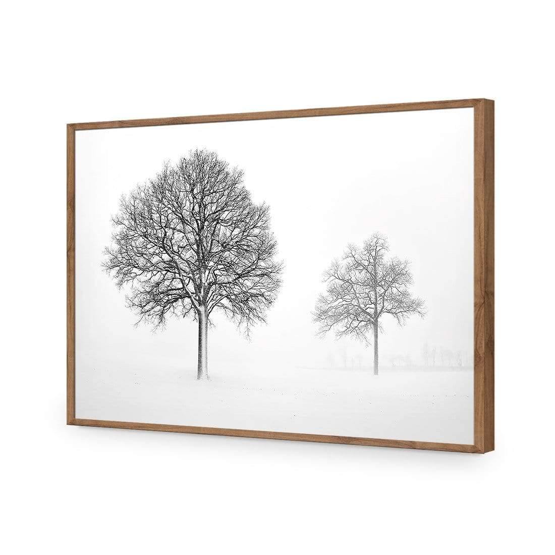 Trees in Winter Snow By Ben Heine