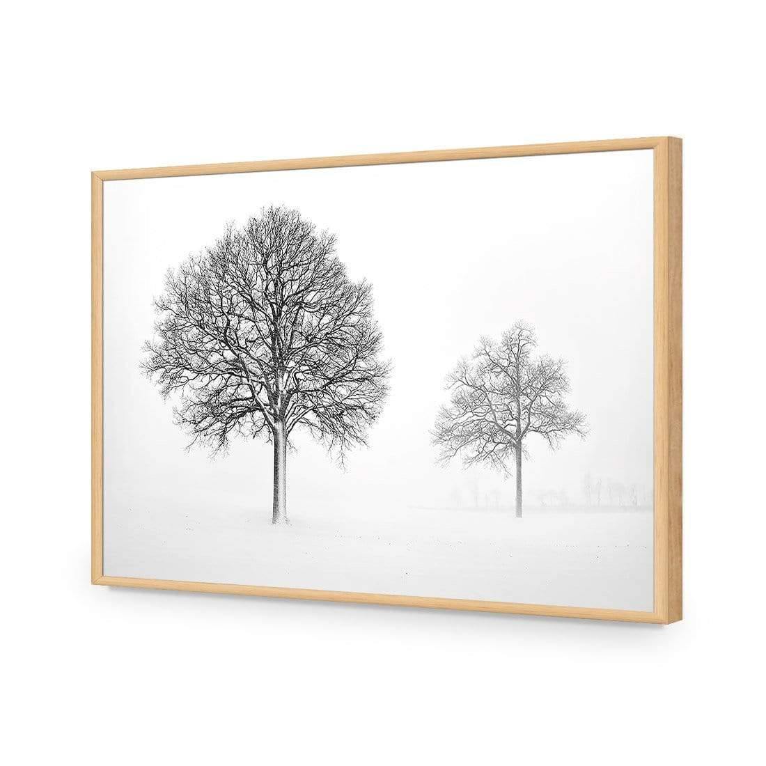 Trees in Winter Snow By Ben Heine