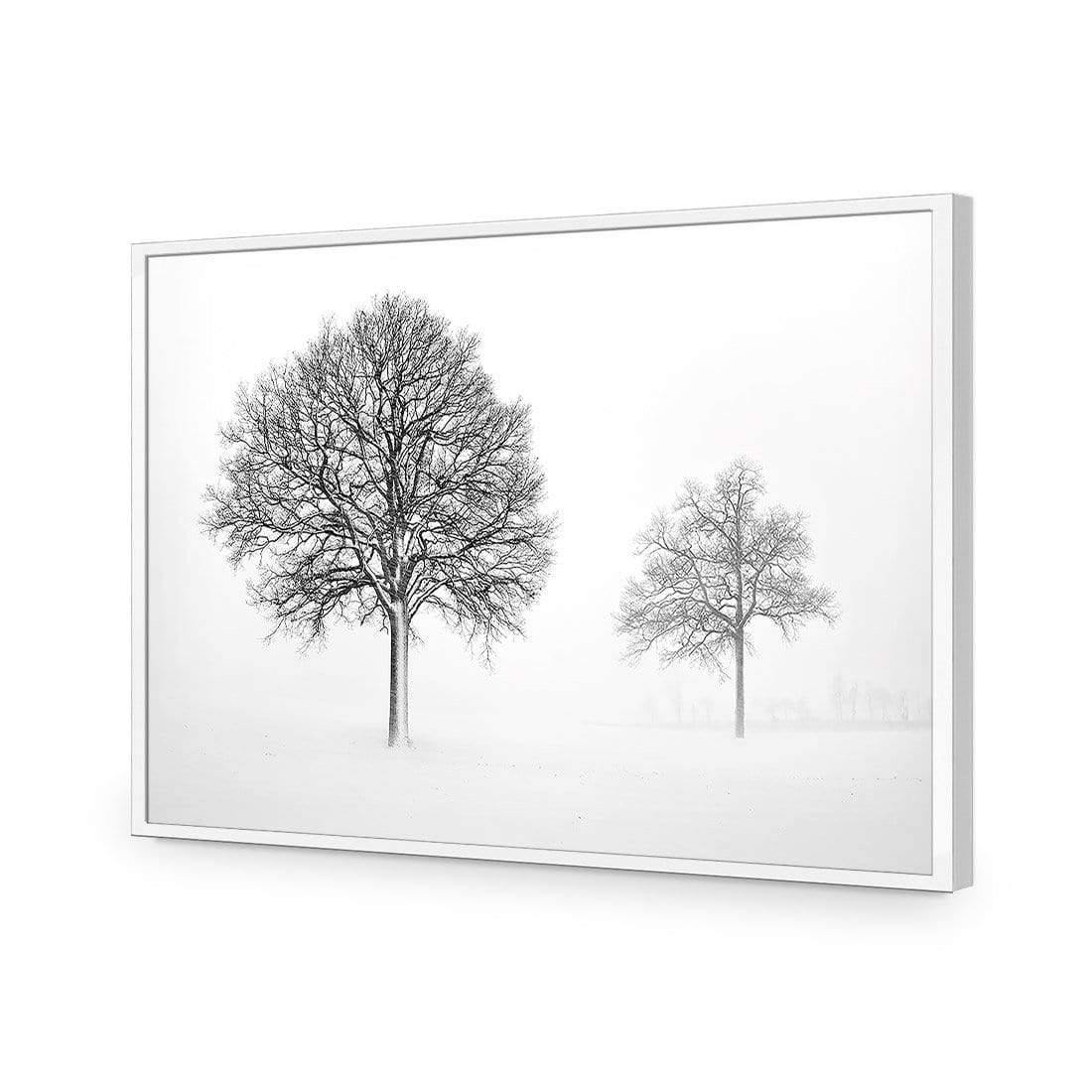 Trees in Winter Snow By Ben Heine