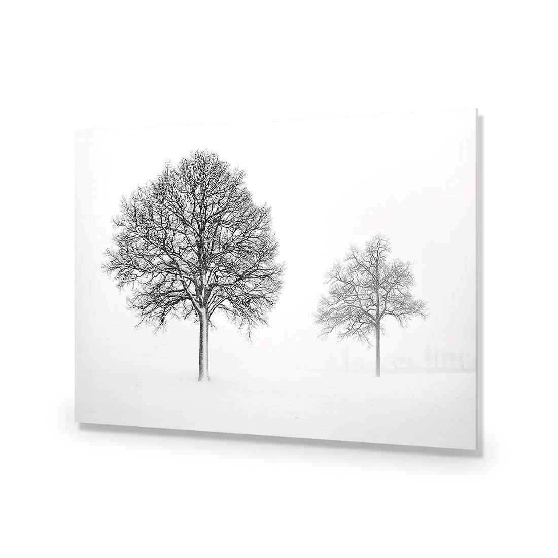 Trees in Winter Snow By Ben Heine