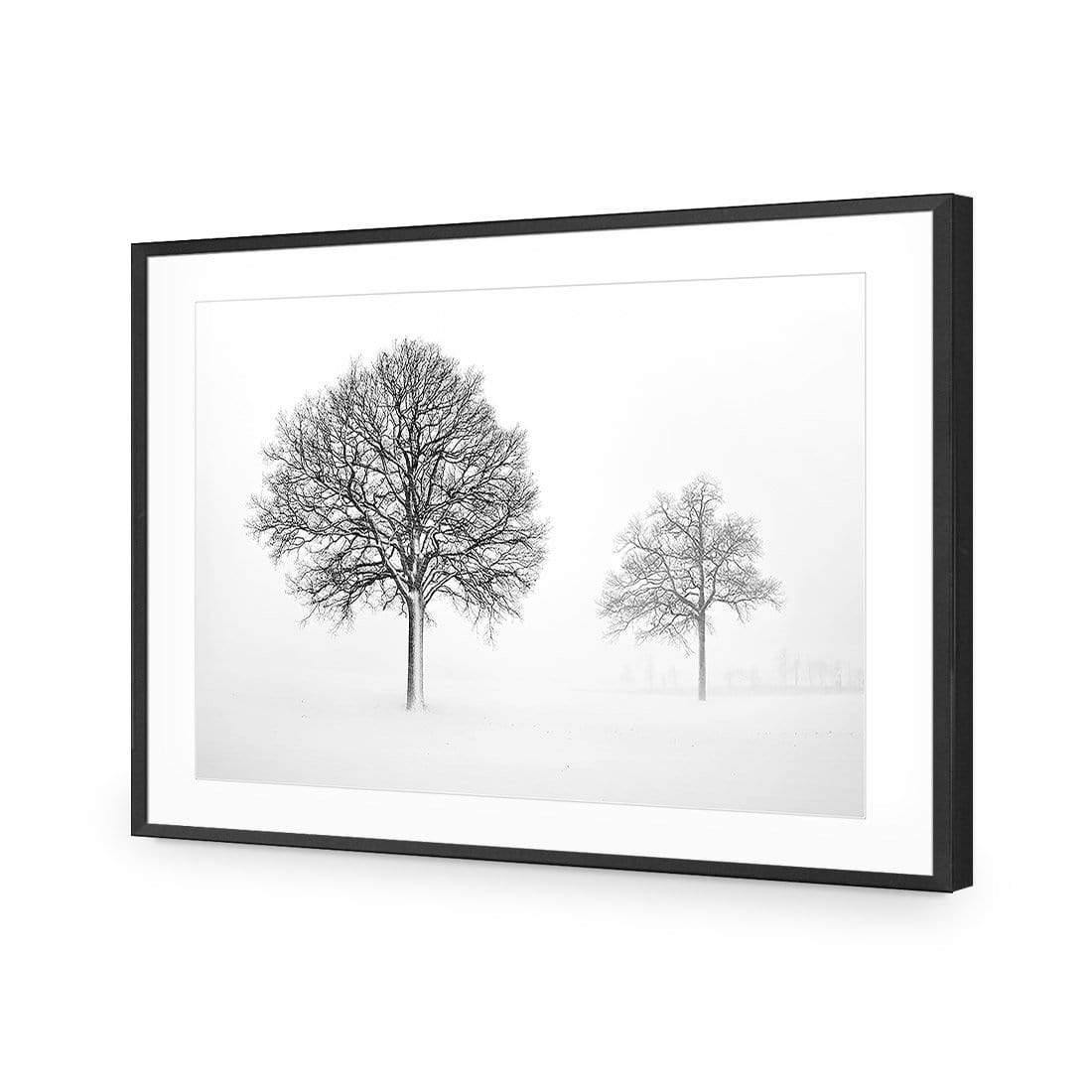 Trees in Winter Snow By Ben Heine