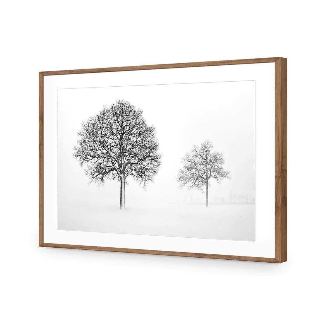 Trees in Winter Snow By Ben Heine