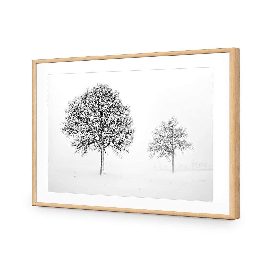 Trees in Winter Snow By Ben Heine