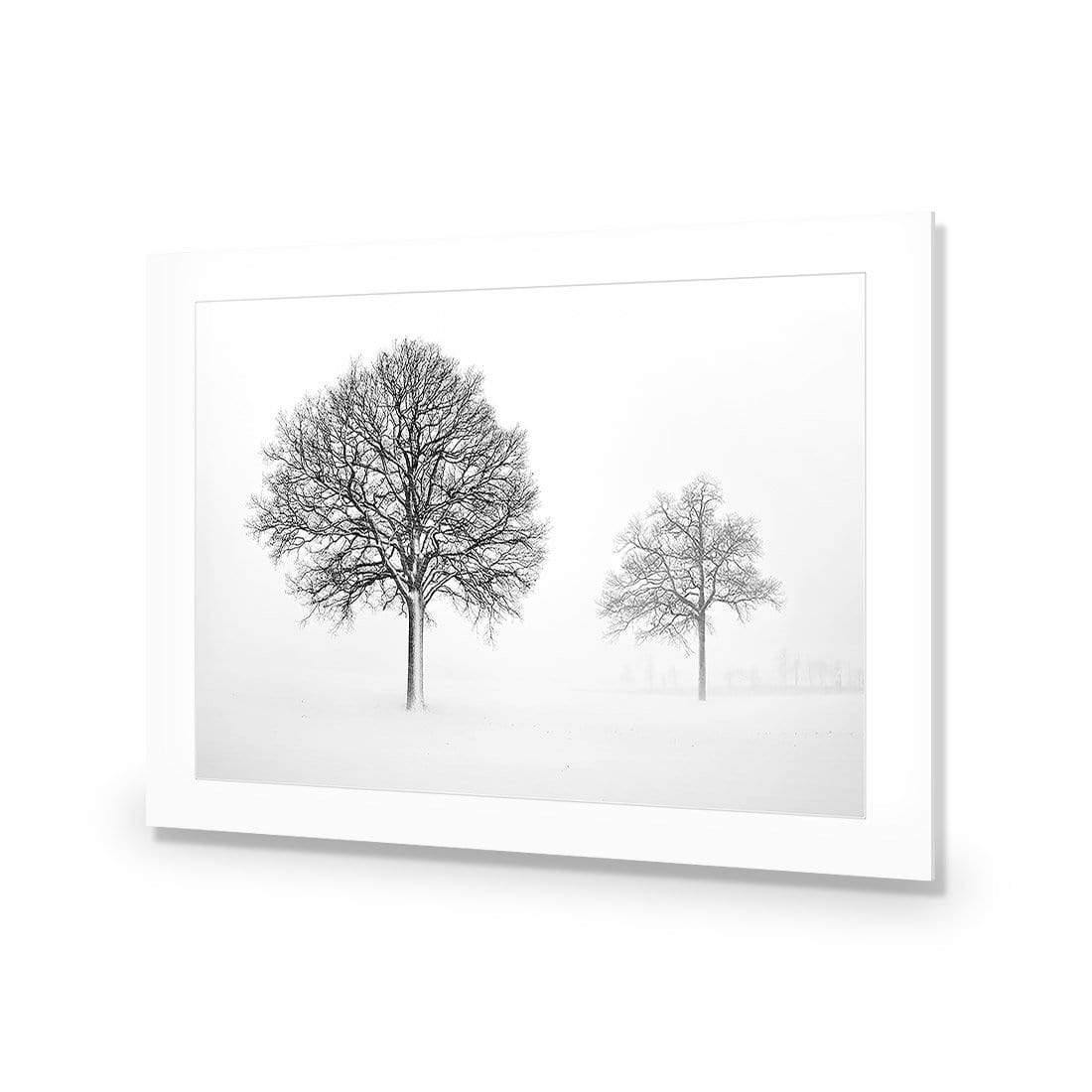 Trees in Winter Snow By Ben Heine