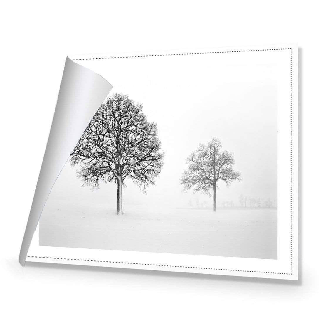 Trees in Winter Snow By Ben Heine