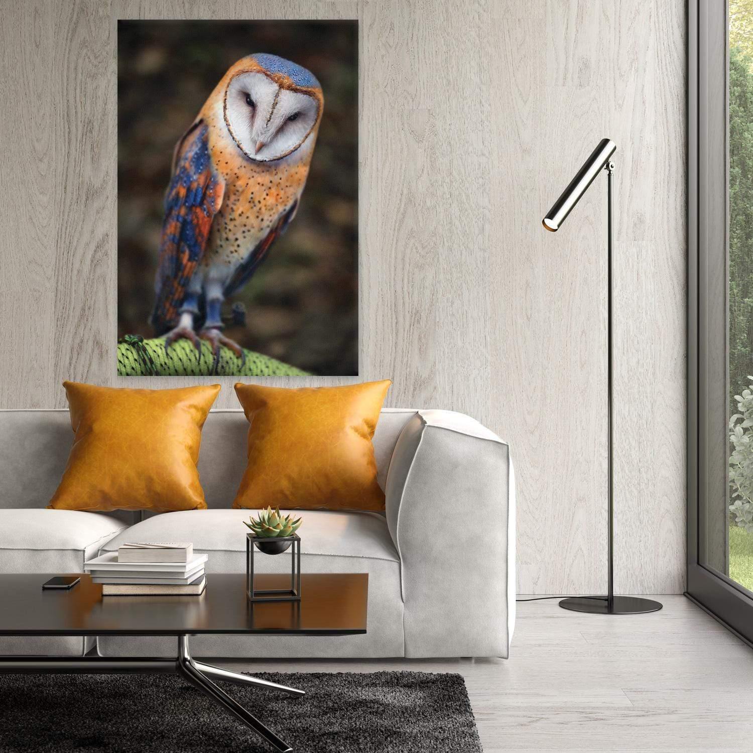 Barn Owl By Ben Heine