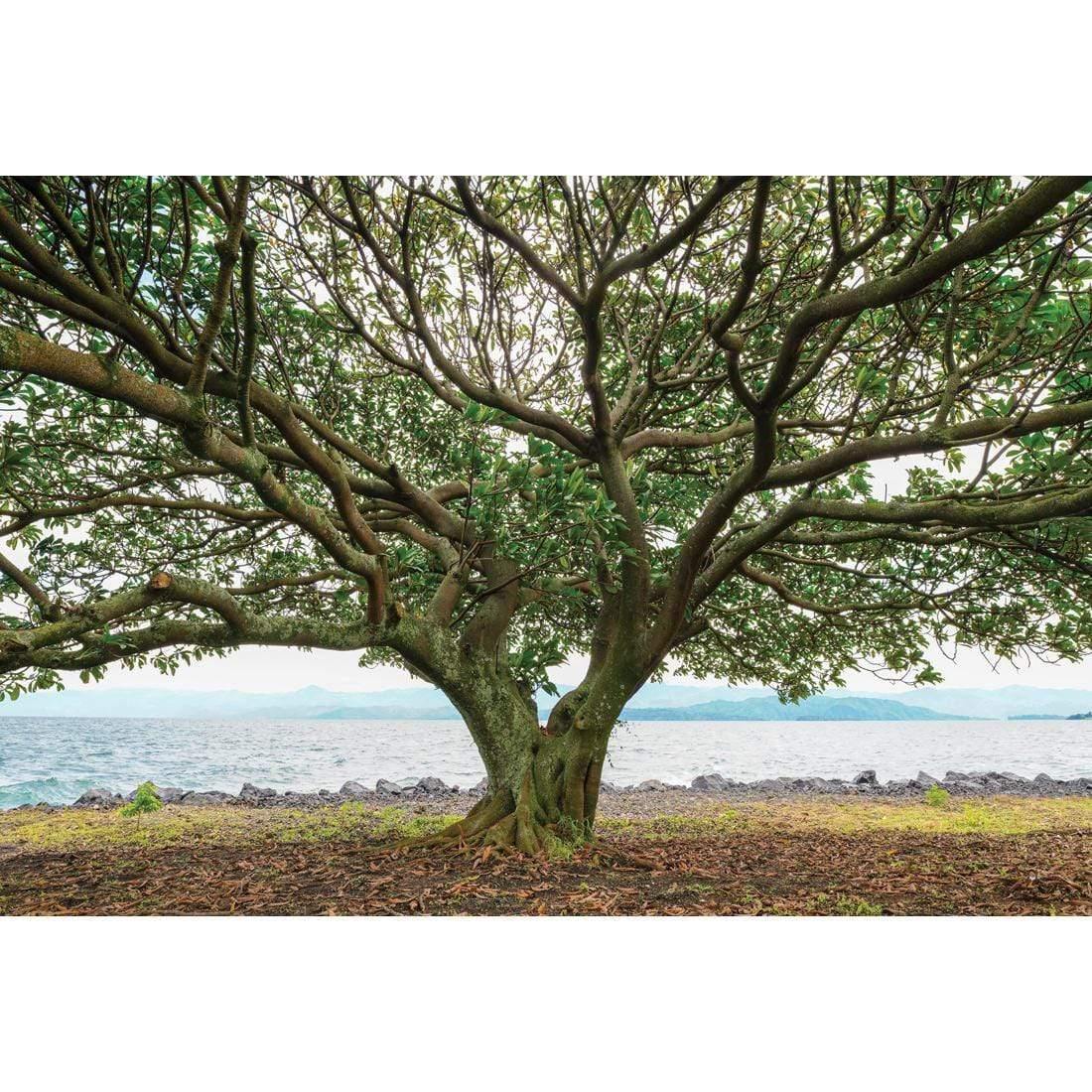 African Tree Goma By Ben Heine