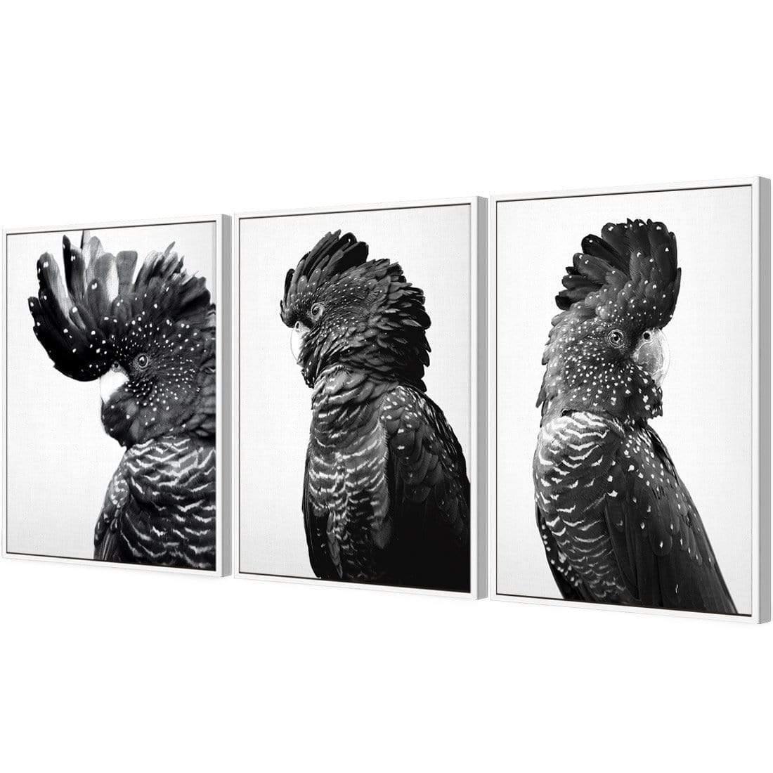 Cockatoos Trio, B&W Art Set