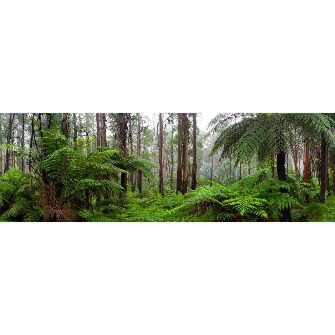 Deep Forest Victoria