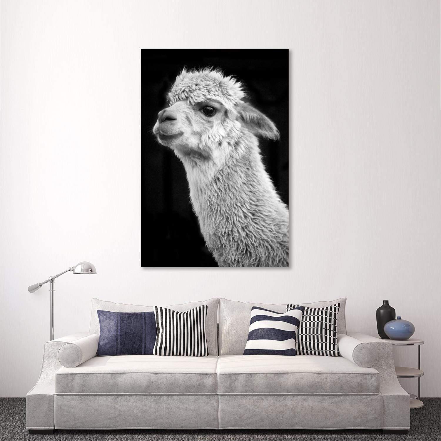 Adorable Alpaca On Black, By Nadya Neklioudova