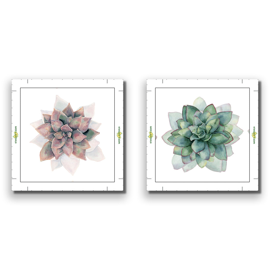 Succulent Rosette Perfect Pair