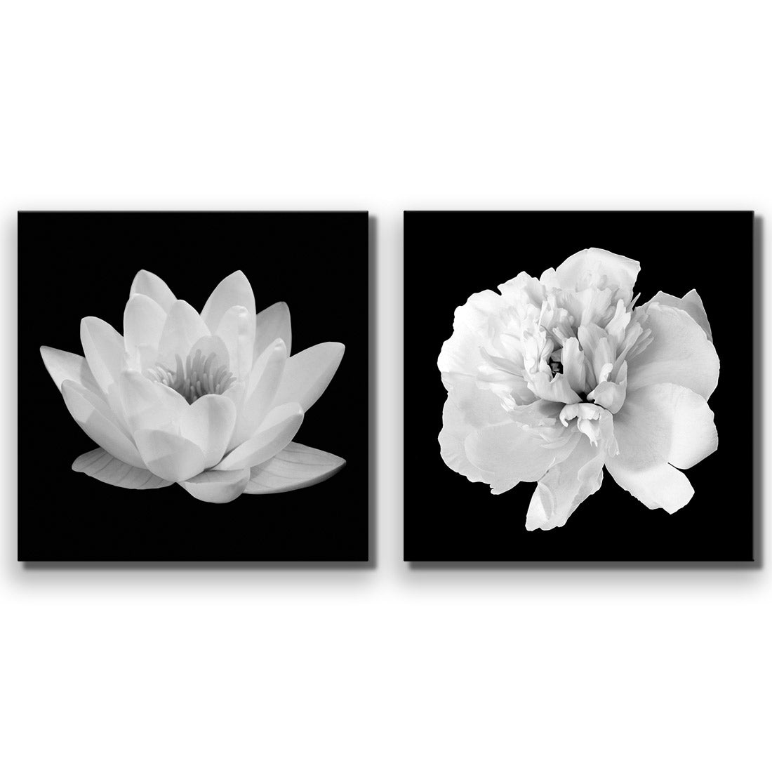 Black and White Bloom Perfect Pair