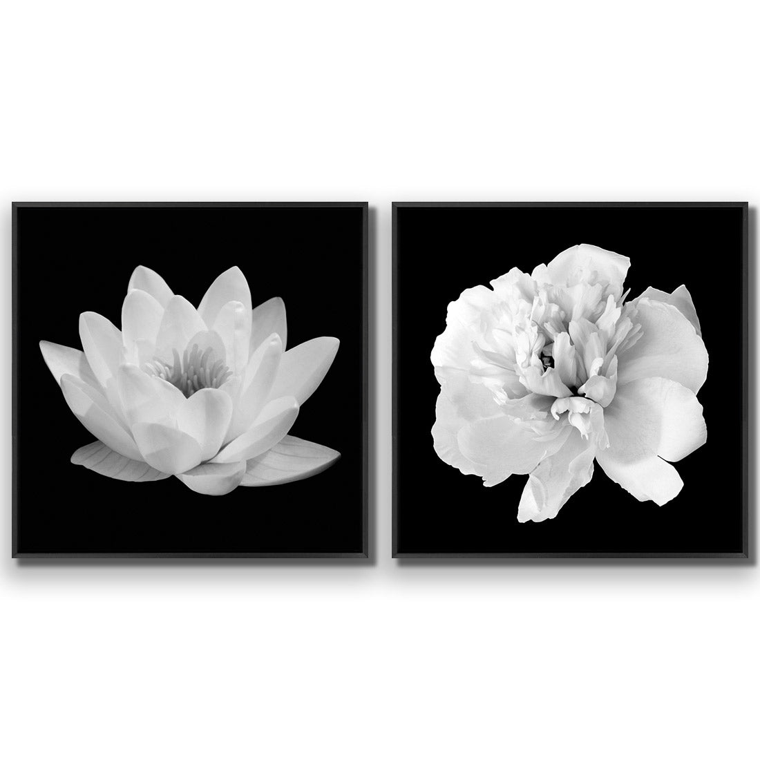 Black and White Bloom Perfect Pair