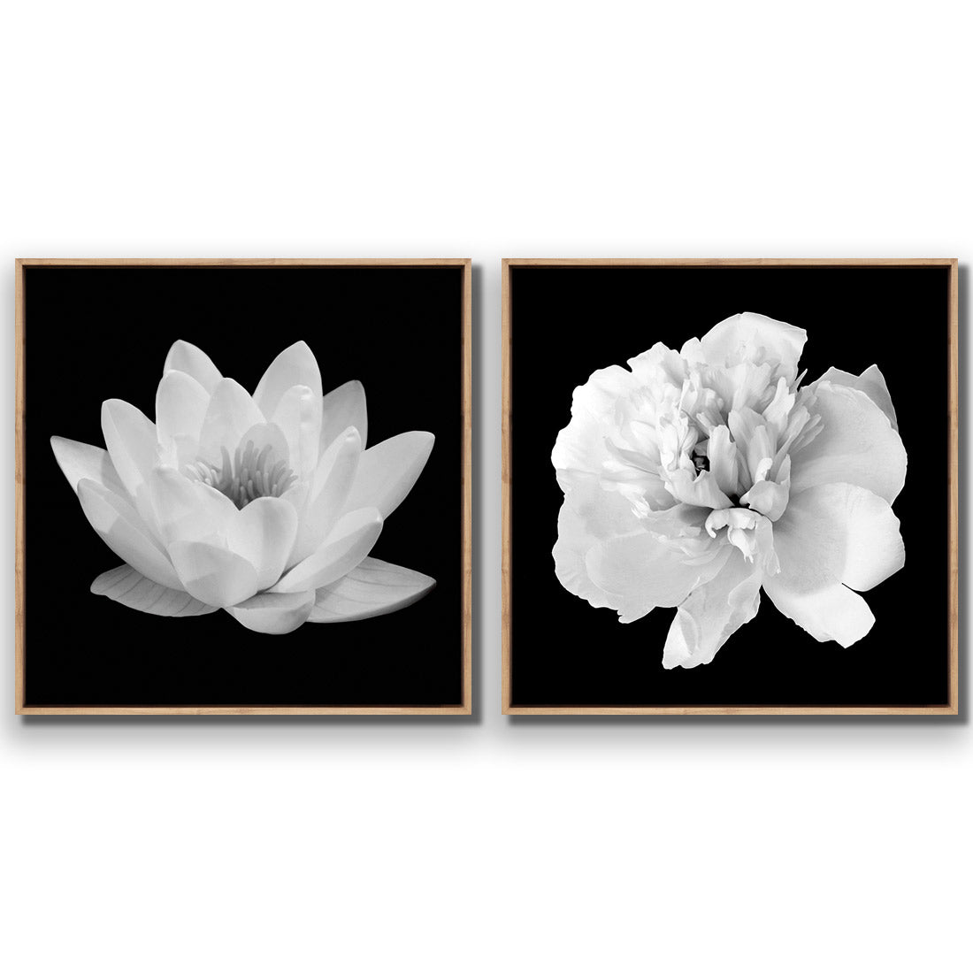 Black and White Bloom Perfect Pair