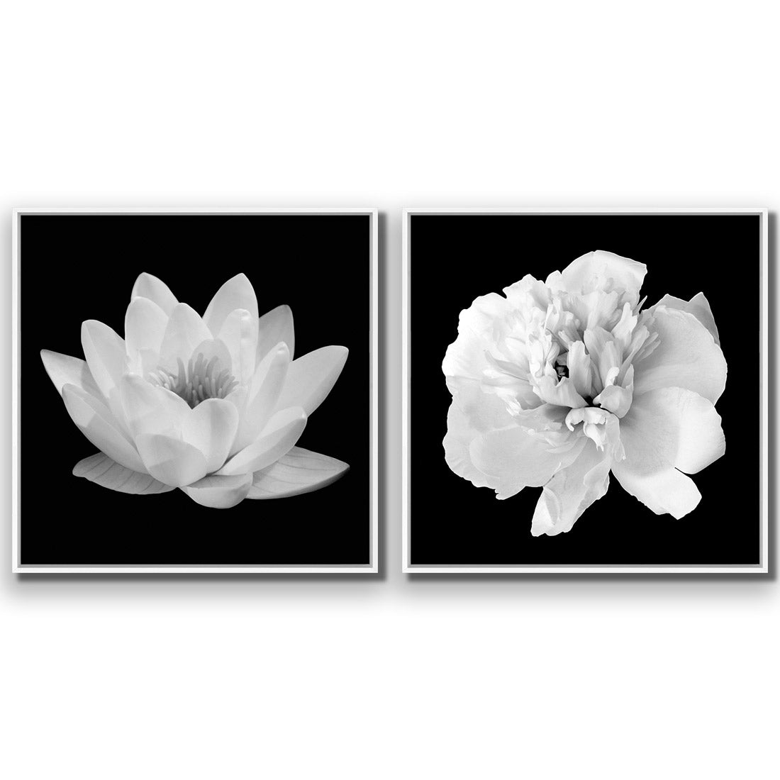 Black and White Bloom Perfect Pair