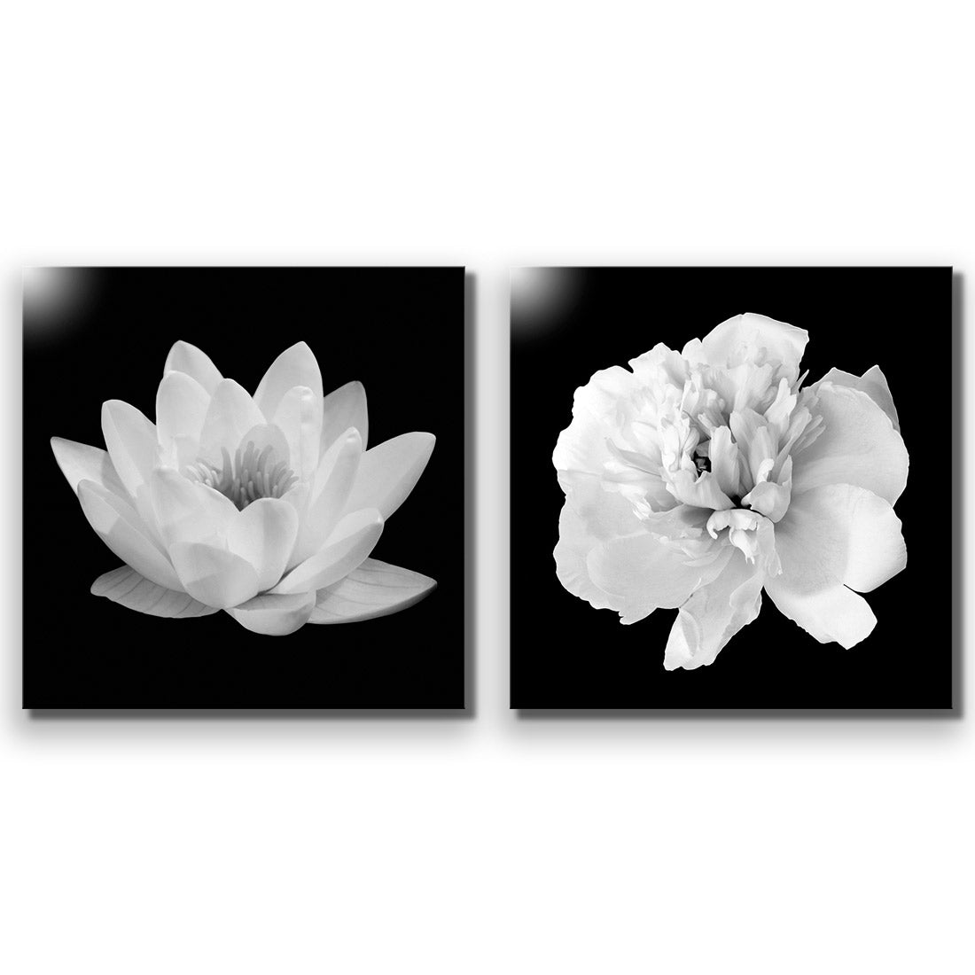 Black and White Bloom Perfect Pair