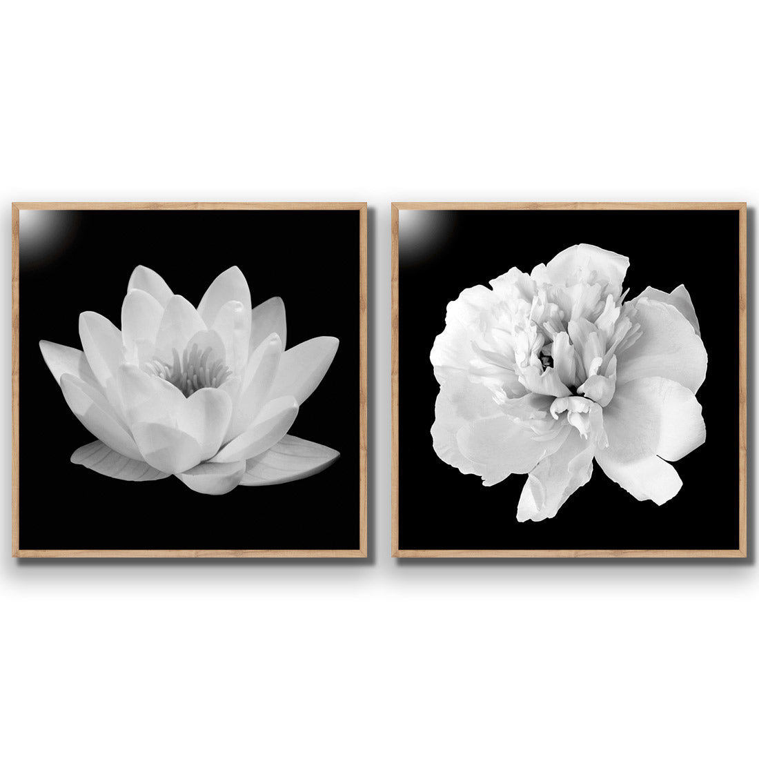 Black and White Bloom Perfect Pair