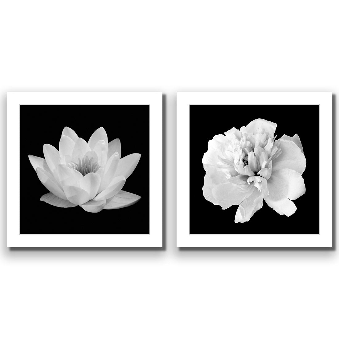 Black and White Bloom Perfect Pair