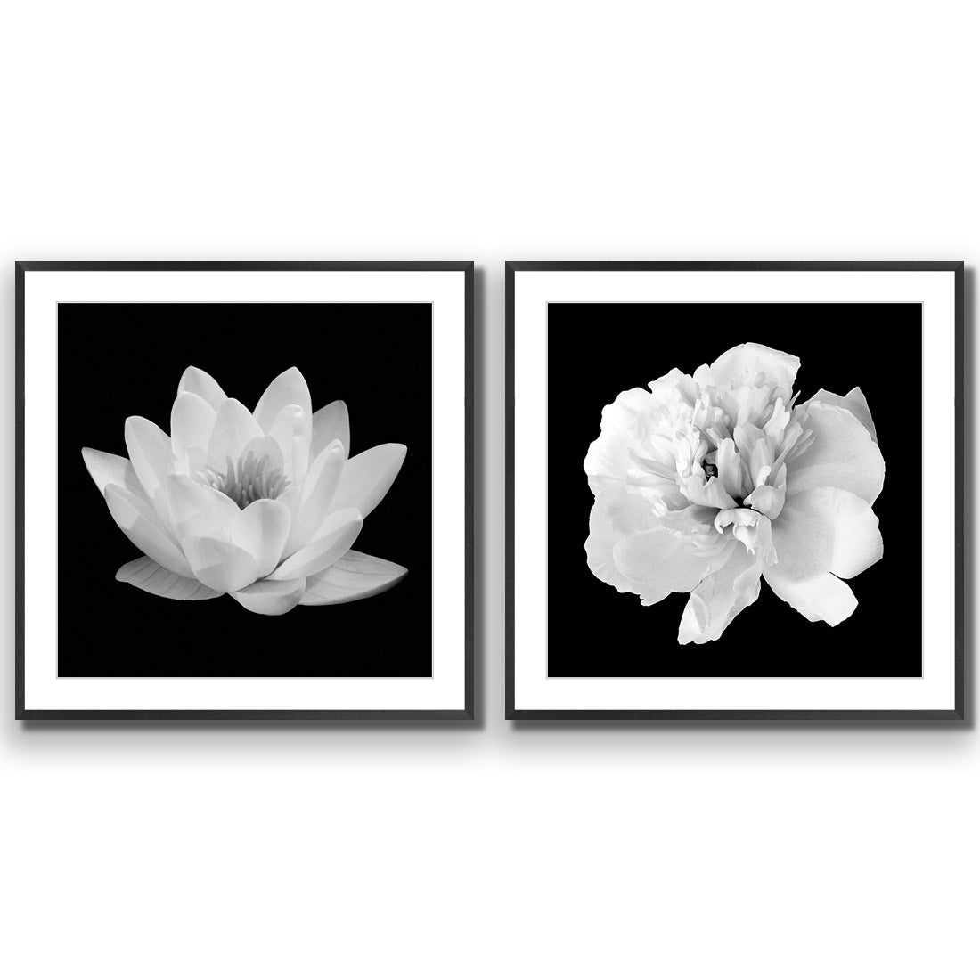 Black and White Bloom Perfect Pair