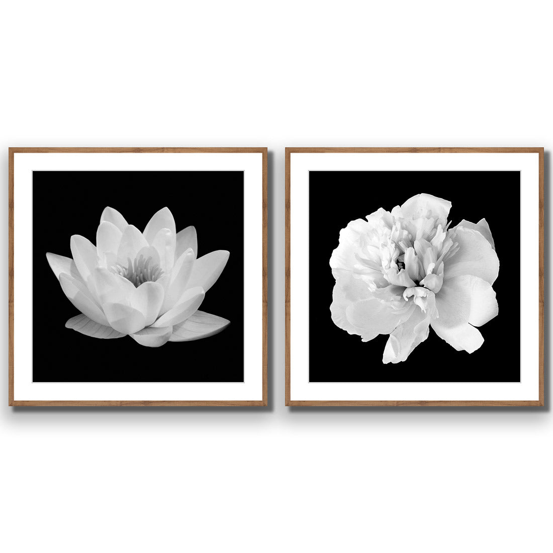 Black and White Bloom Perfect Pair