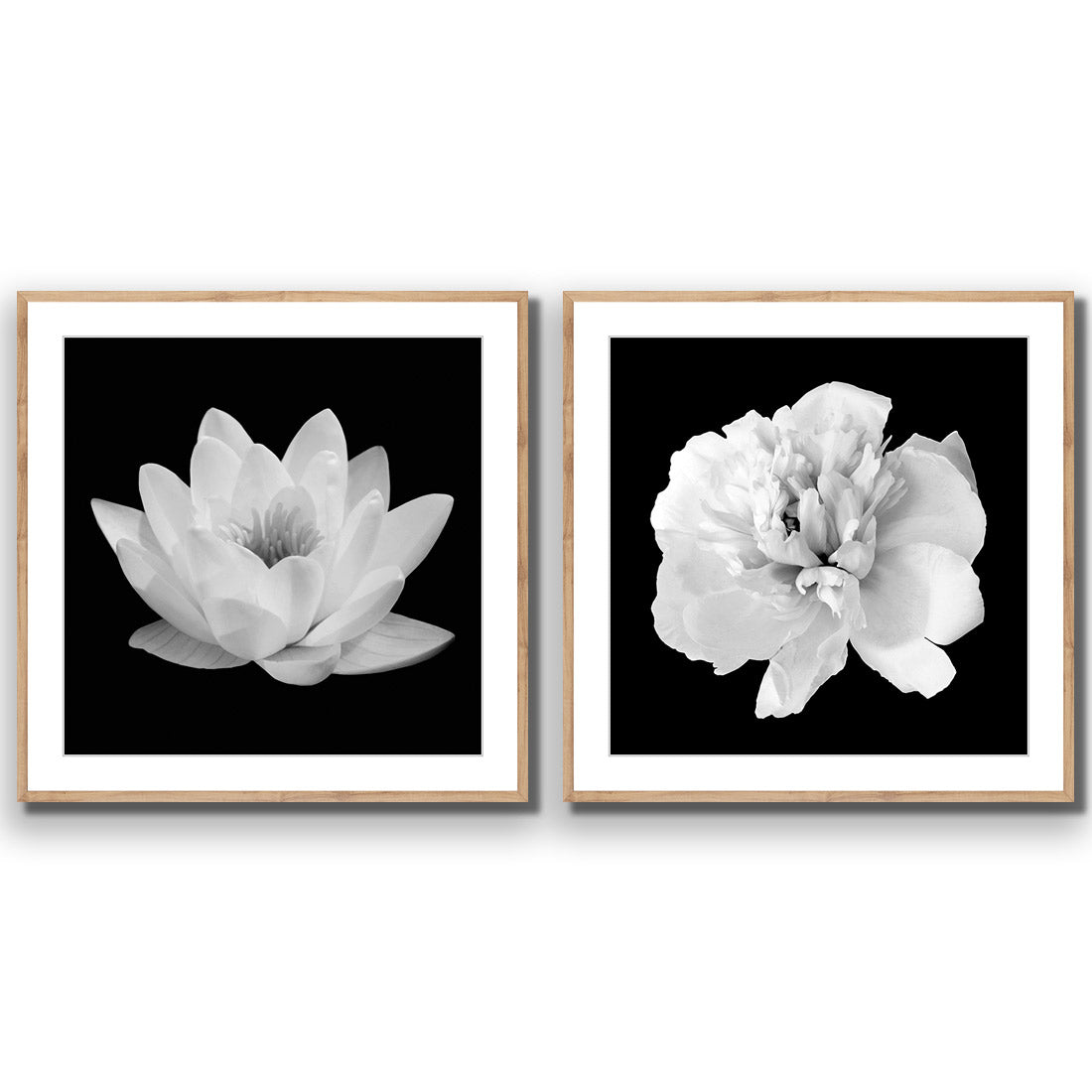 Black and White Bloom Perfect Pair