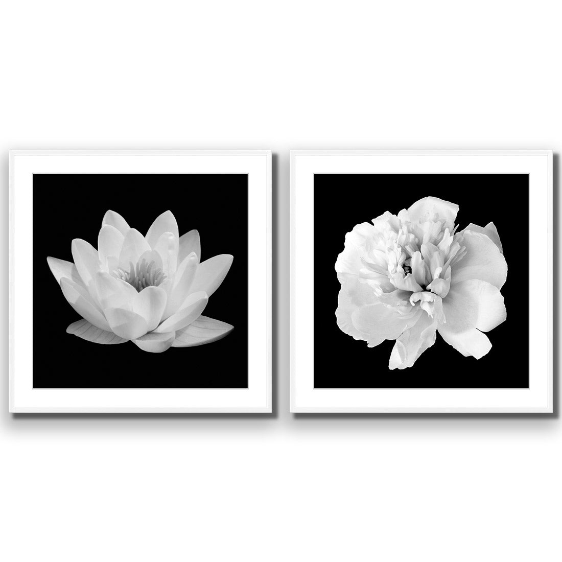 Black and White Bloom Perfect Pair