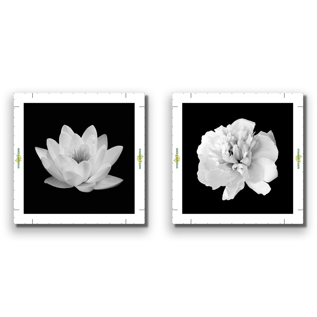 Black and White Bloom Perfect Pair