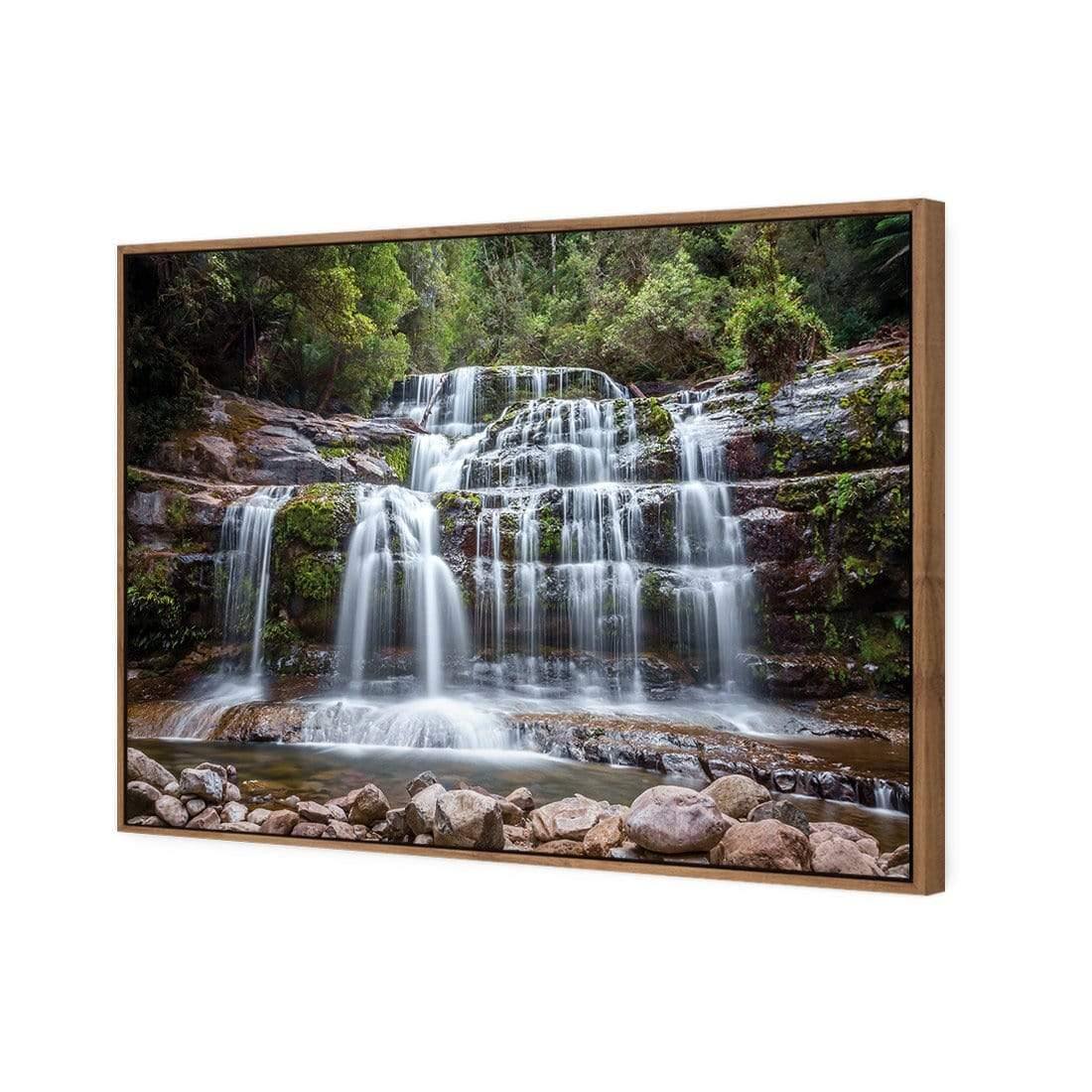 Liffey Falls TAS, By Stuart Millen