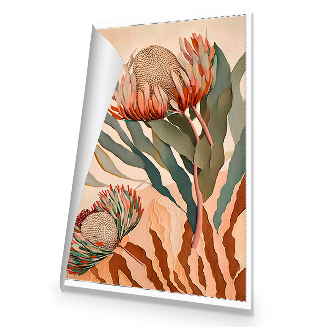 Protea Majesty