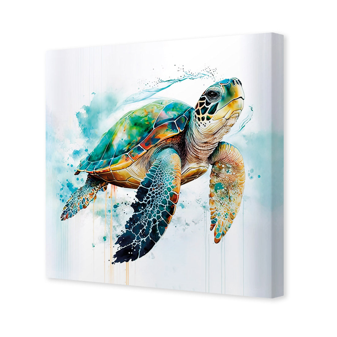 Sea Turtle Spotlight