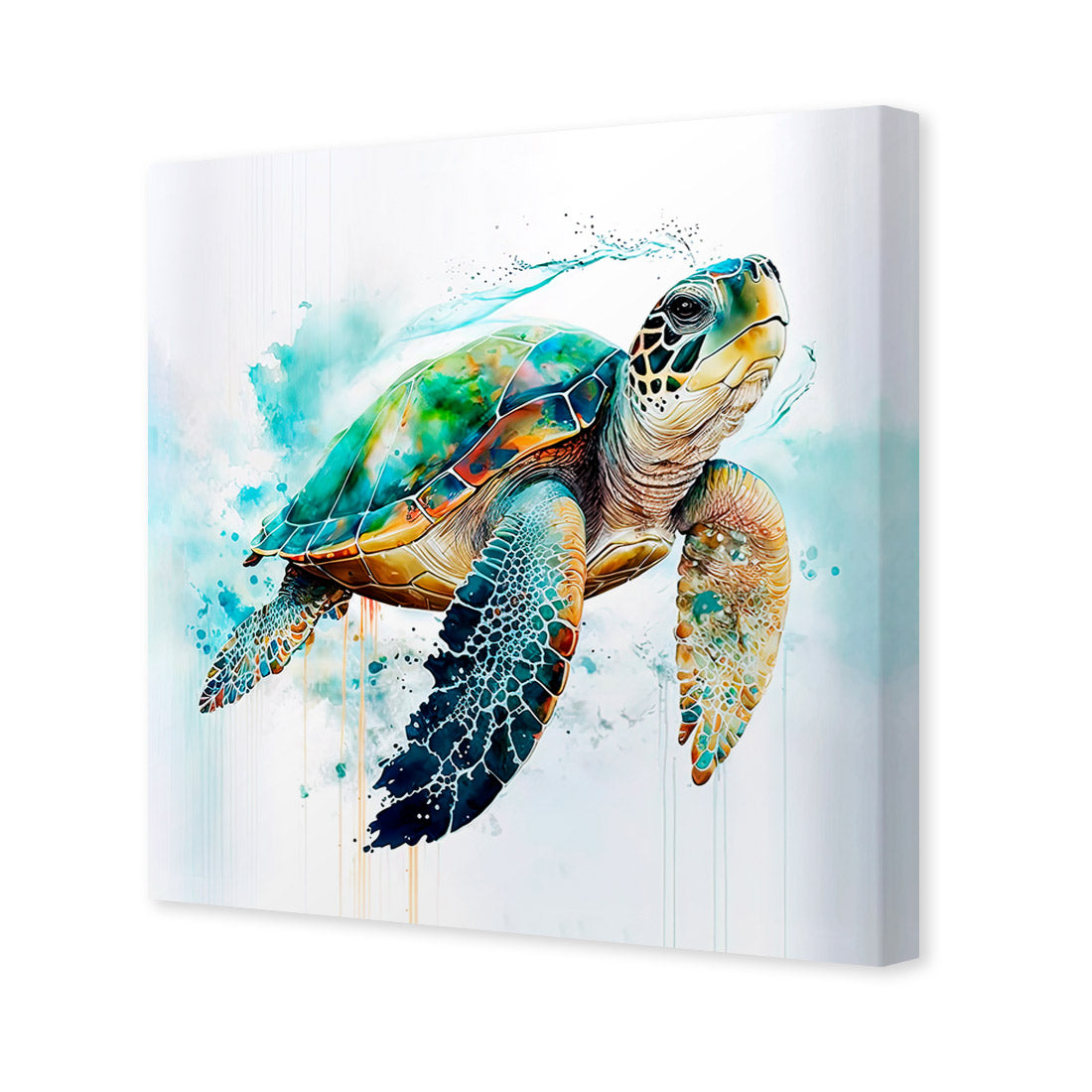Sea Turtle Spotlight | Classic Canvas | No Frame | Stretched Canvas