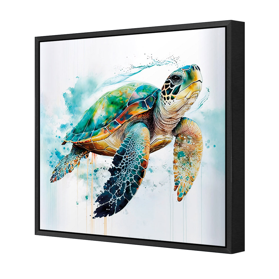 Sea Turtle Spotlight