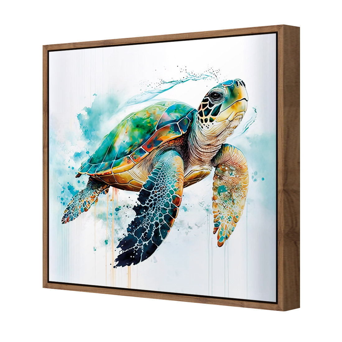 Sea Turtle Spotlight