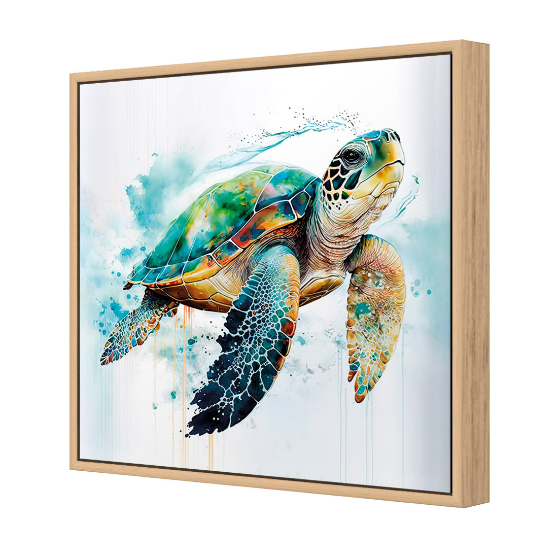 Sea Turtle Spotlight