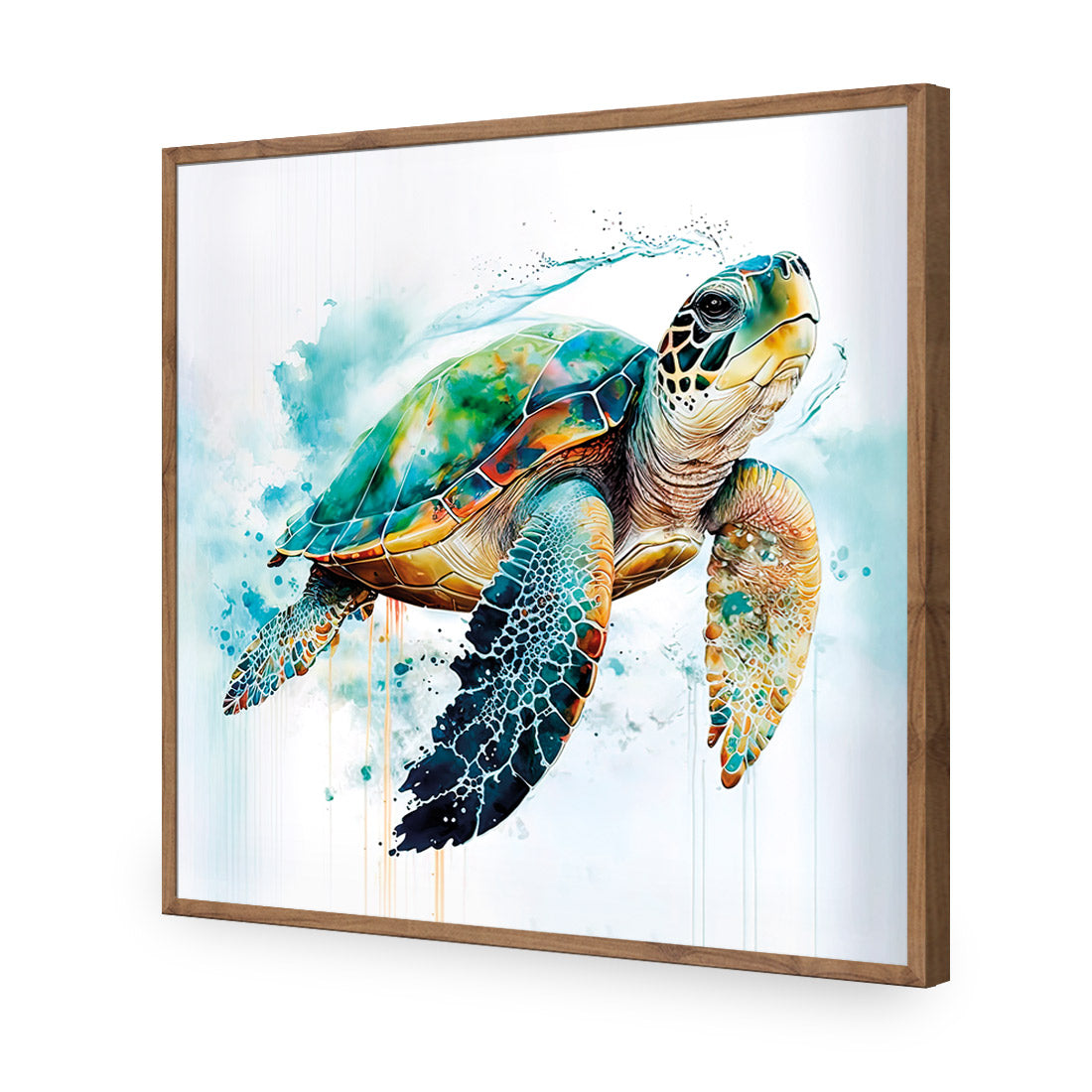 Sea Turtle Spotlight