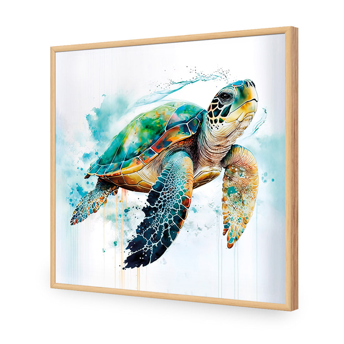 Sea Turtle Spotlight