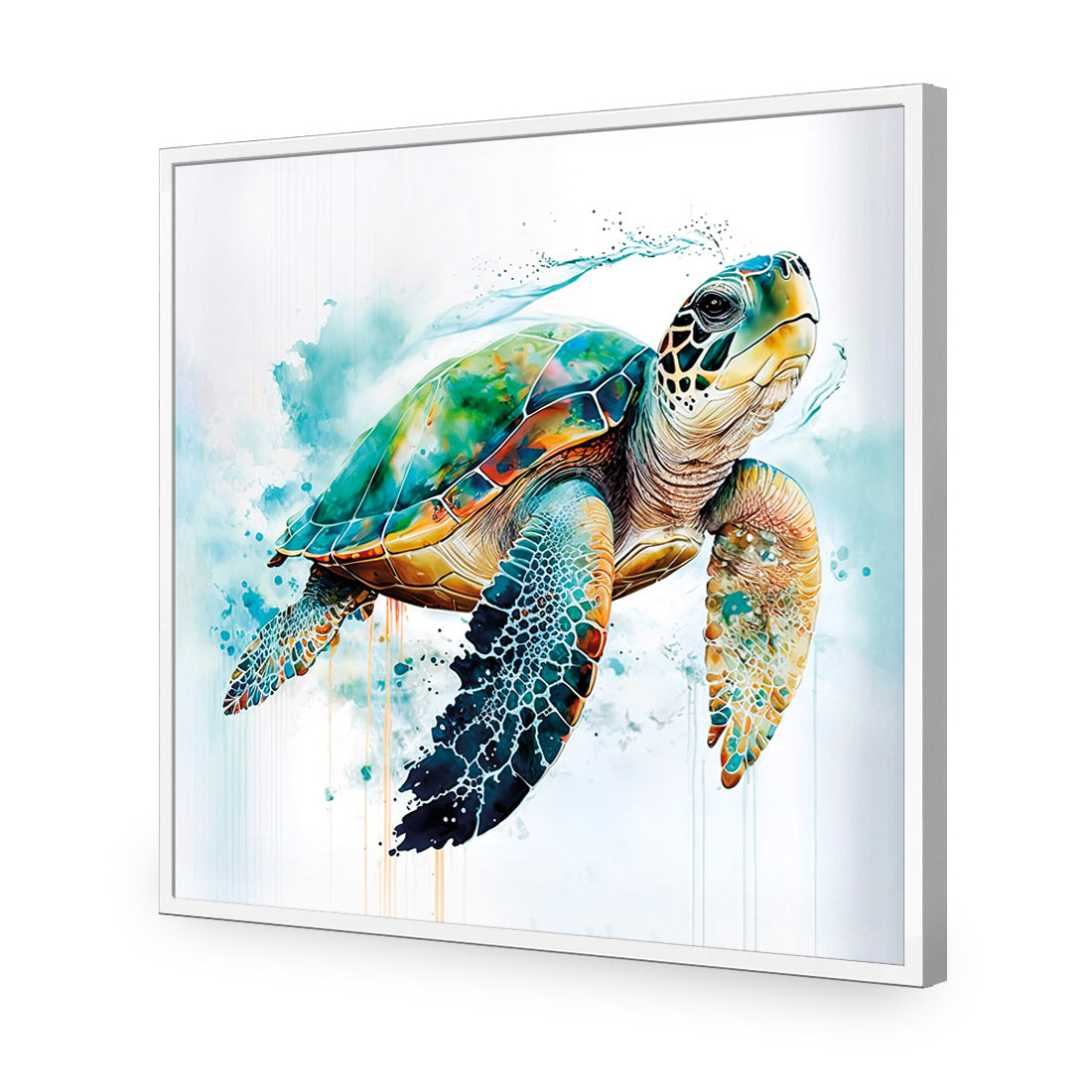 Sea Turtle Spotlight