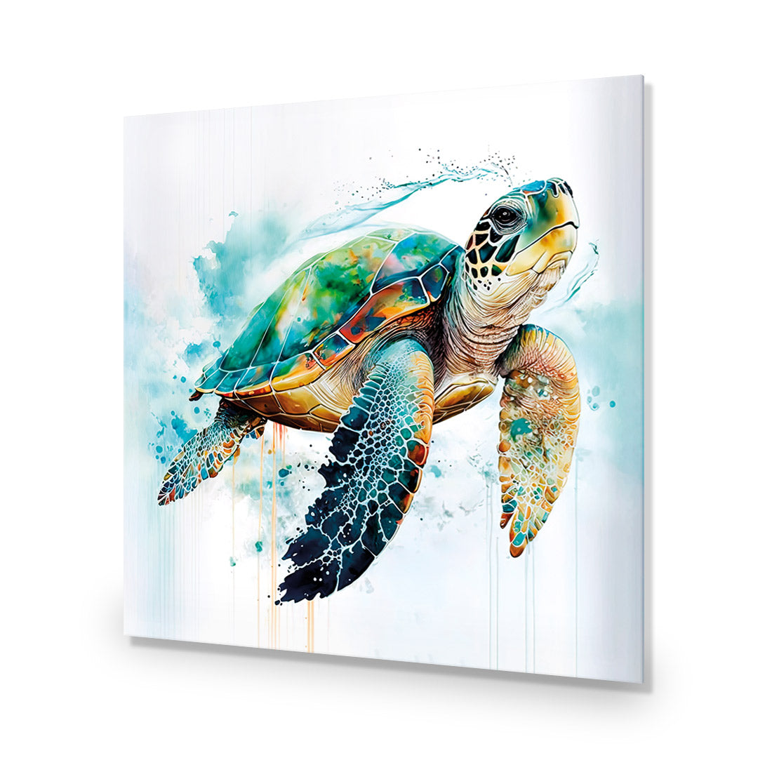 Sea Turtle Spotlight