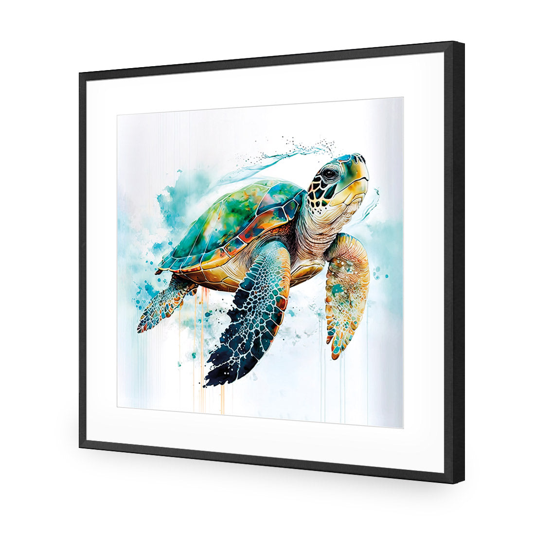 Sea Turtle Spotlight