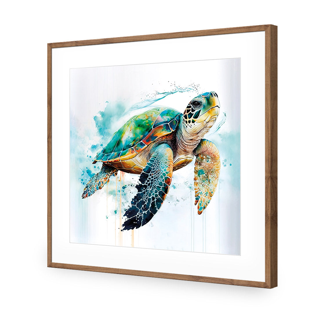 Sea Turtle Spotlight