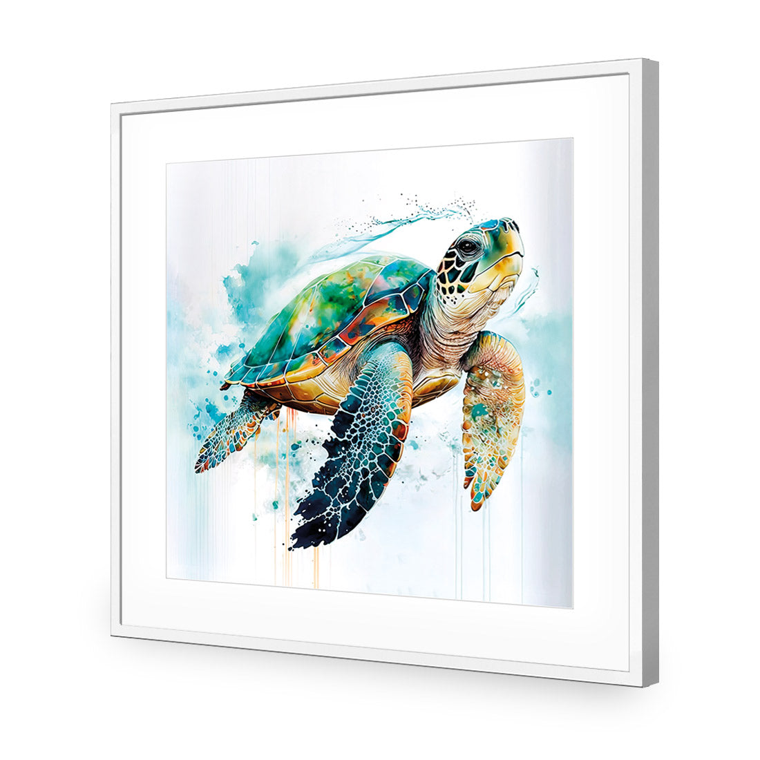 Sea Turtle Spotlight