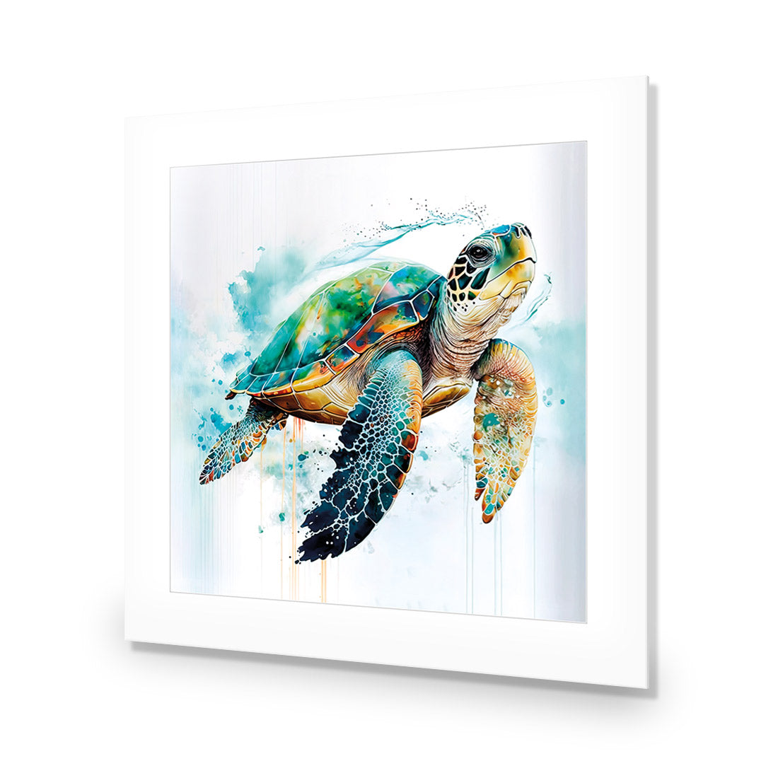 Sea Turtle Spotlight