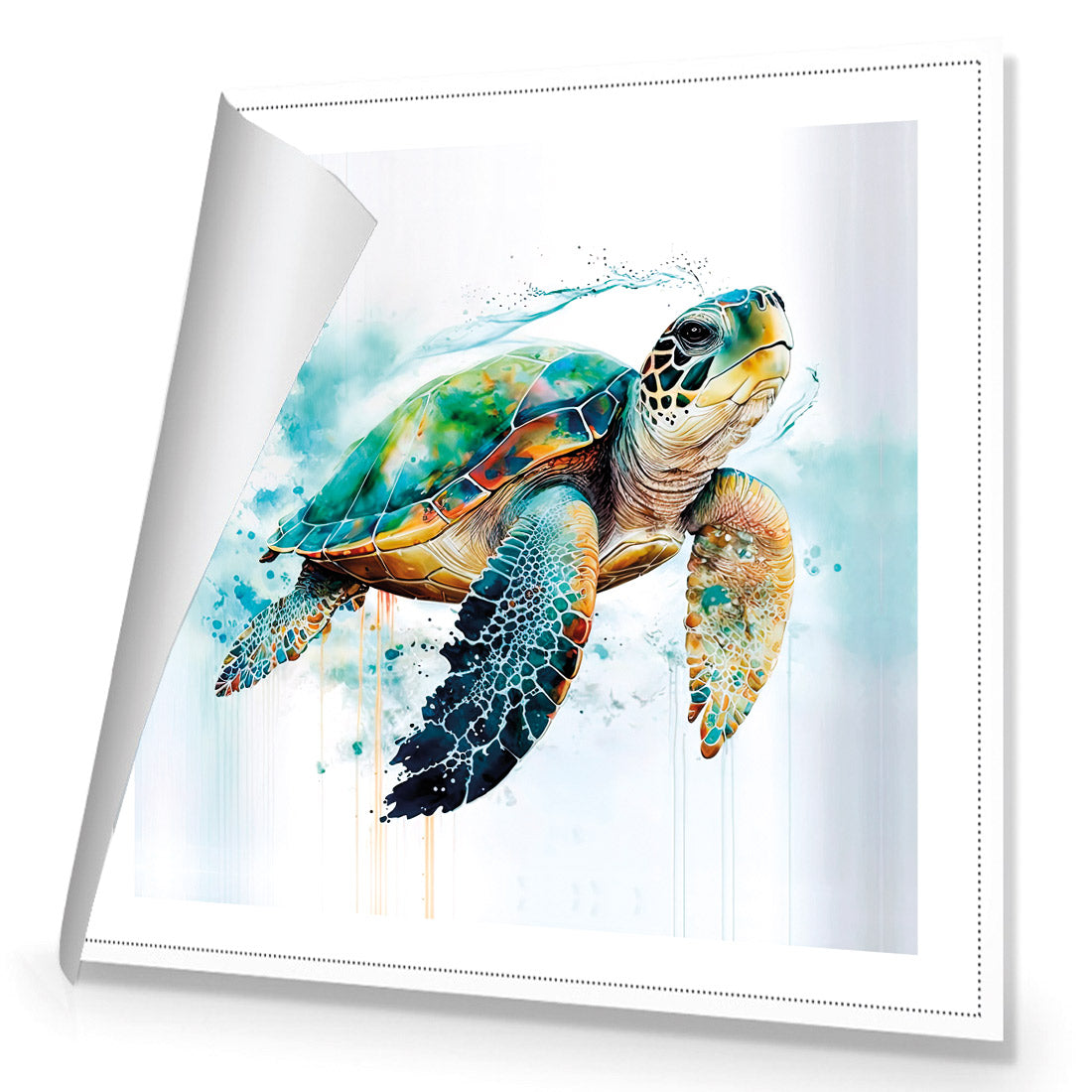 Sea Turtle Spotlight