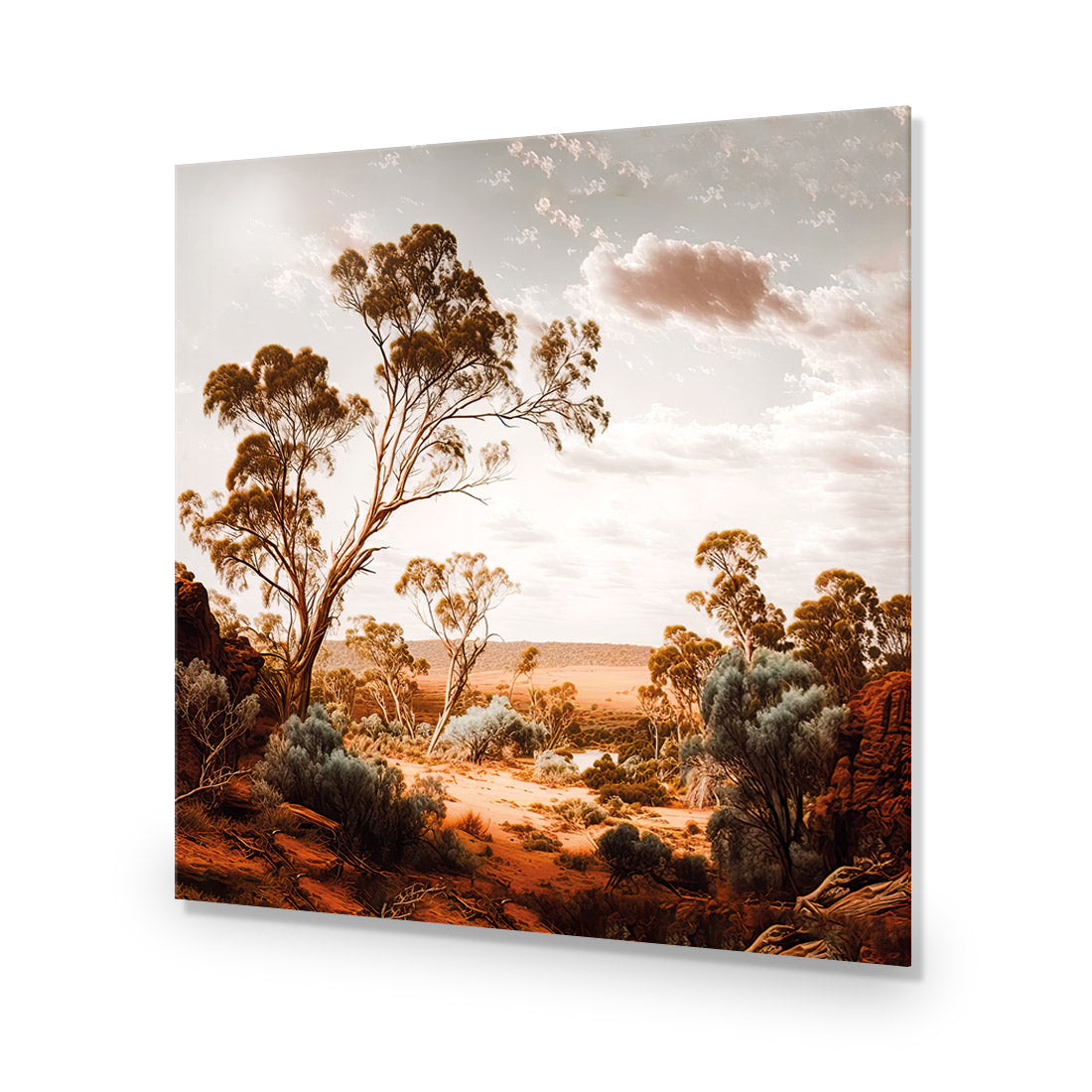 Way Out Back | Classic Acrylic | No Frame No Border